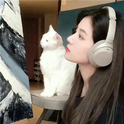 午夜蝴蝶海报